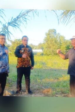 berita-rekomendasi-foto